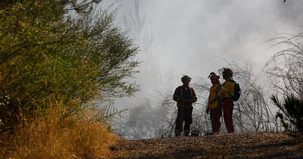 incendio-forestal.png