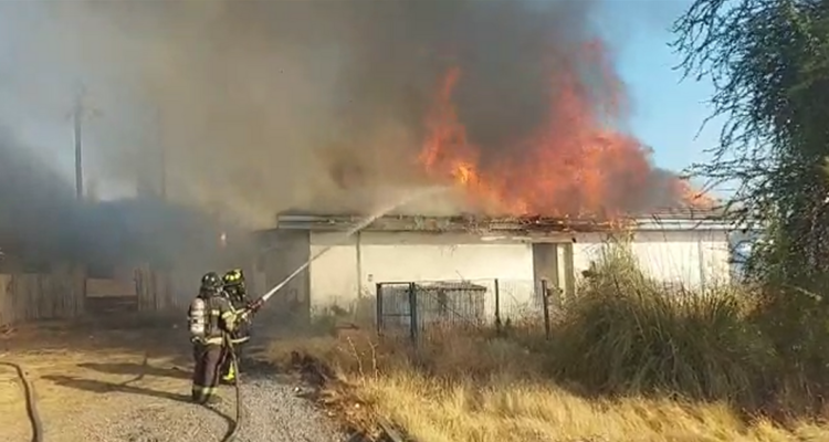 Miguel García | RBB Maule