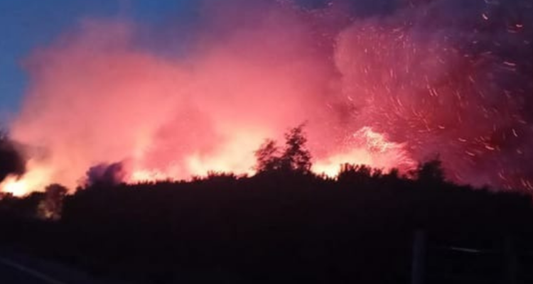 Incendio consume 20 hectáreas en sector rural de Arauco