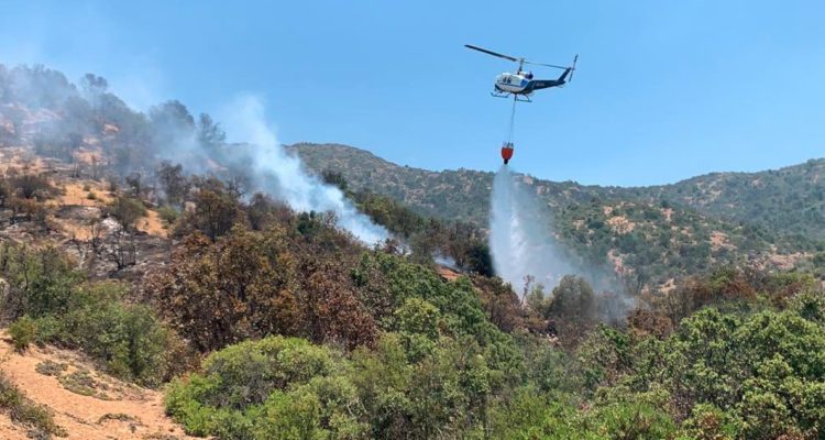 Incendios en Requínoa y Machalí, que han consumido 1.500 hectáreas