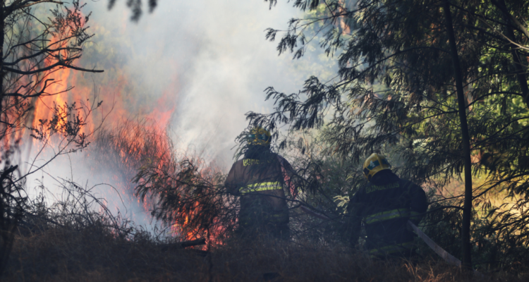 Incendios forestales