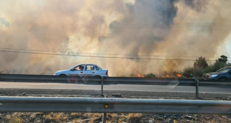 Incendios forestales en el país.