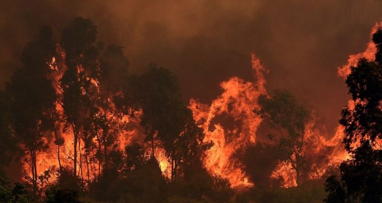 Incendios forestales Chile: Onemi declara 4 Alertas rojas