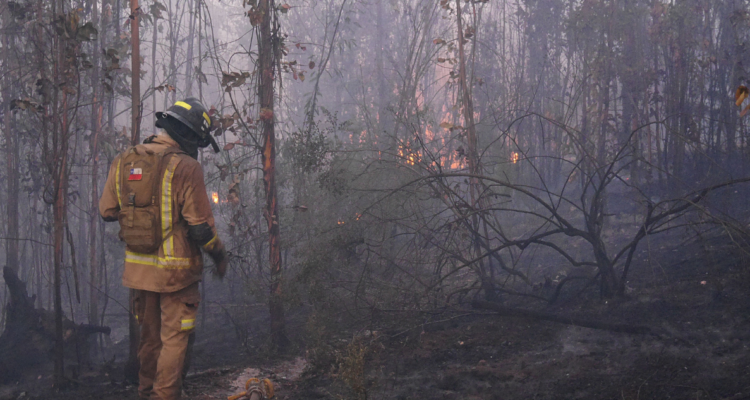 Bombero en incendio forestal