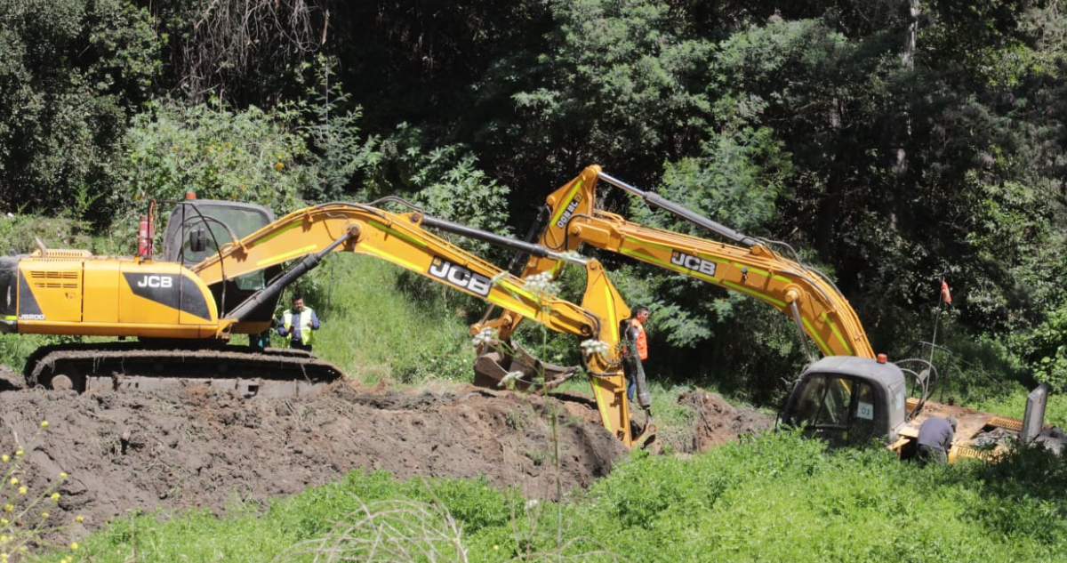 Excavadora en humedal