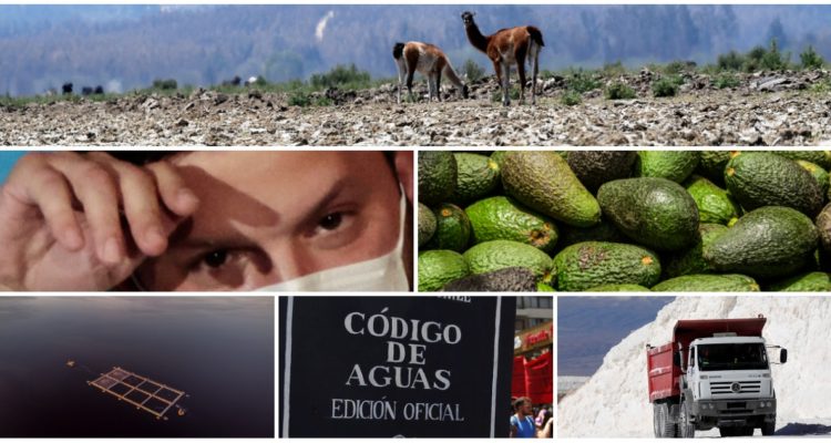 Las propuestas de Gabriel Boric en materia medioambiental y los desafíos que enfrentará en La Moneda