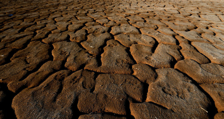Ministerio de Agricultura Chile
