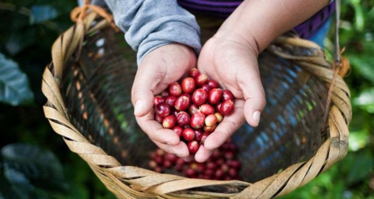 Nuevas barreras de China a importación de bebidas y alimentos provocan incertidumbre en el mercado
