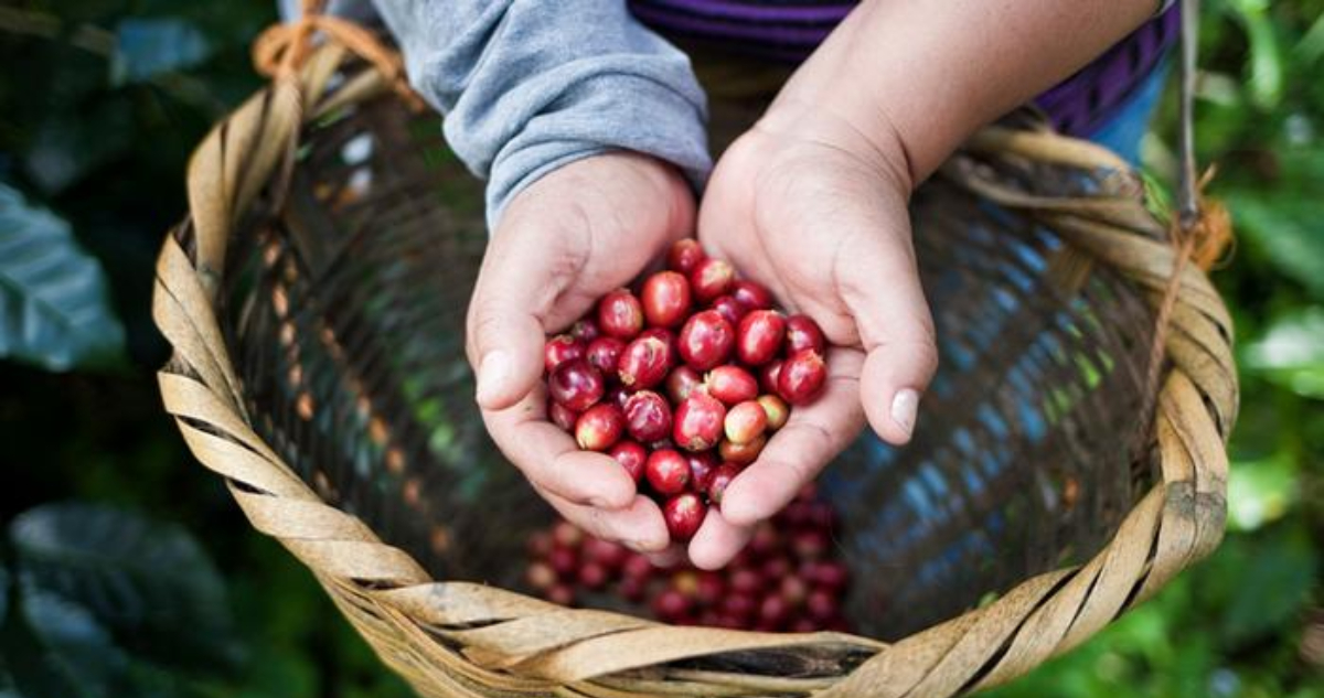 Nuevas barreras de China a importación de bebidas y alimentos provocan incertidumbre en el mercado
