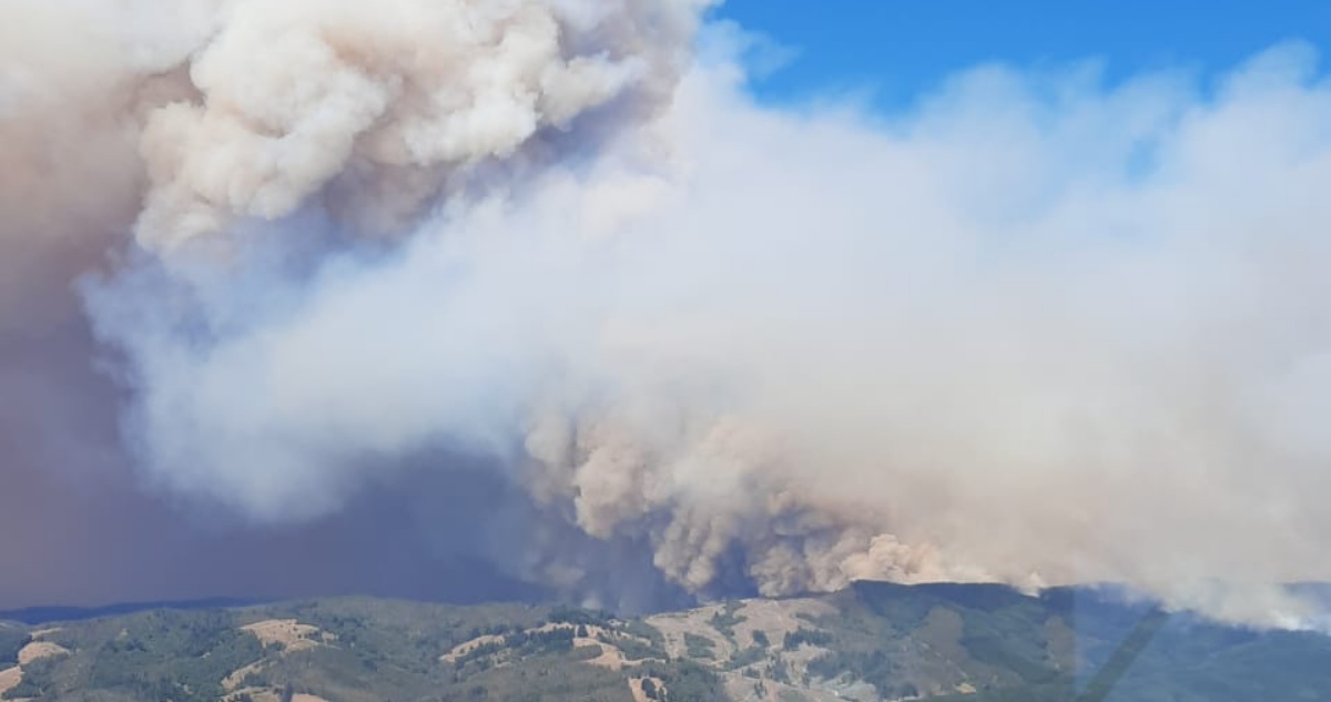 Onemi decreta evacuación de sectores de Quillón, Angol y Los Sauces por incendios forestales