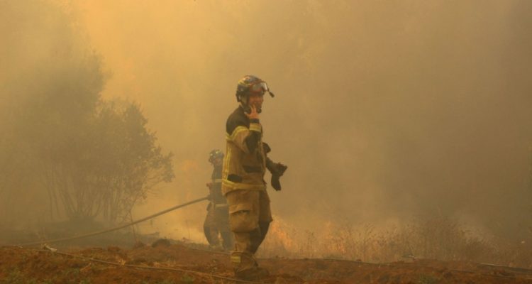 CONAF realiza operativo para evitar incendios forestales