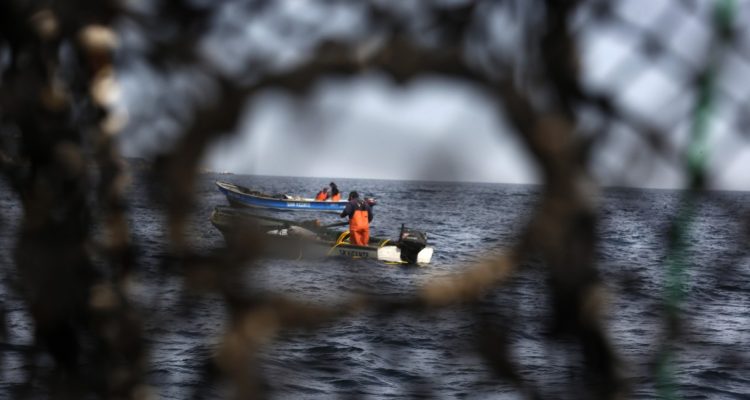 Destacan medida para que artesanales puedan extraer remanente de cuotas de pesca