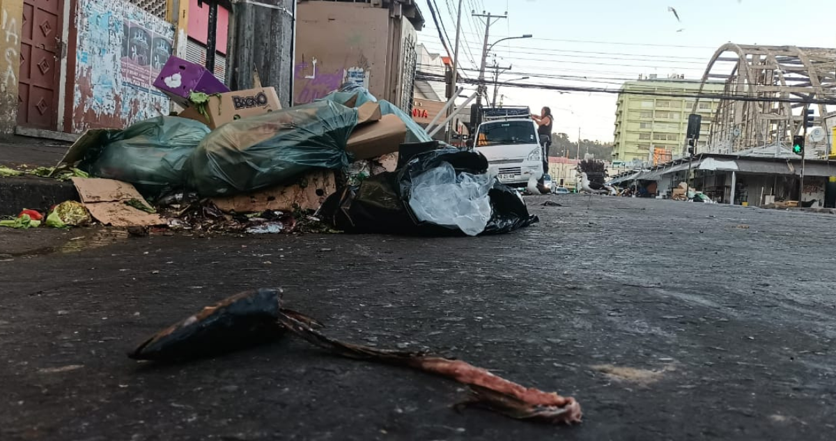 Basura en calle de Concepción