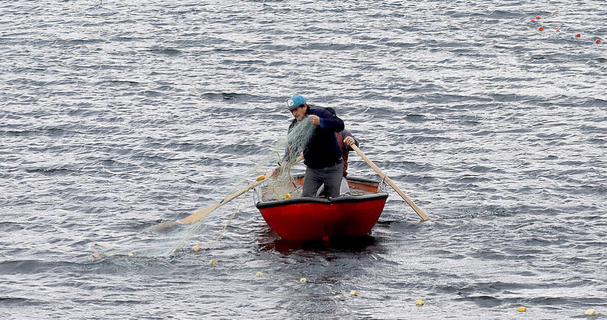 Pescadores en faena