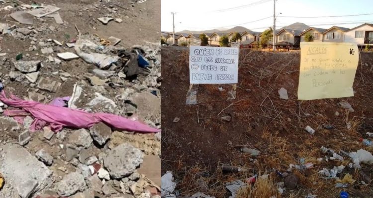 Vecinos denuncias hallazgo de pieles de animales en campamento de Maipú