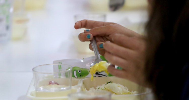 Trabajadores Junaeb buscan destituir a directora regional de Los Ríos