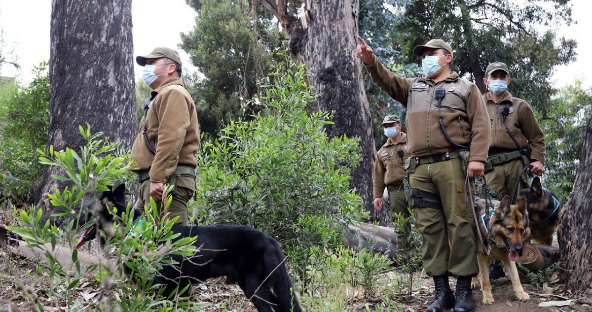 Hombre inventó secuestro en Calbuco por problemas financieros.