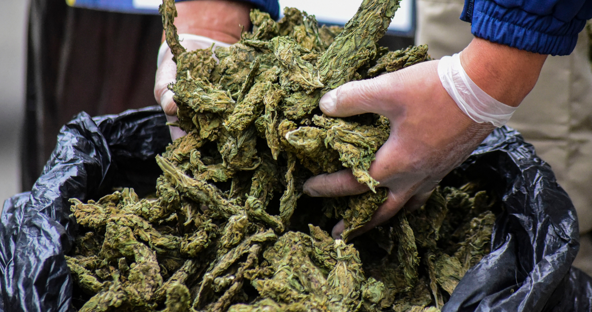 Toque de queda pudo ser un factor que permitió disminución de tráfico de drogas
