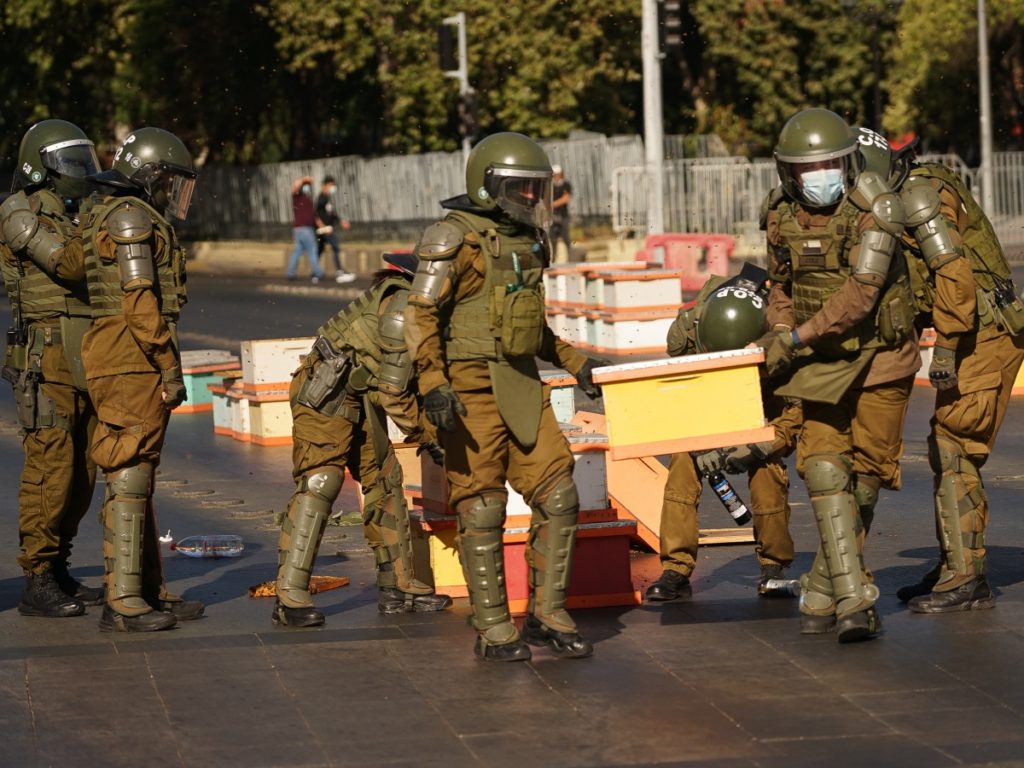 Apicultores protestaron en el exterior de La Moneda: llevaron 10 mil abejas