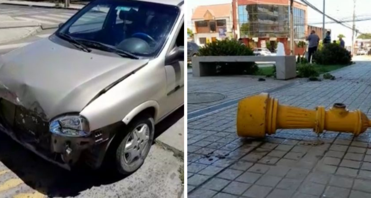 Conductor impactó árboles, un grifo y 3 vehículos en Los Ángeles