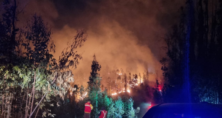 Alerta Roja en Valparaíso por incendio forestal en Lago Peñuelas.