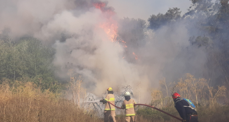 Incendio en Chillán
