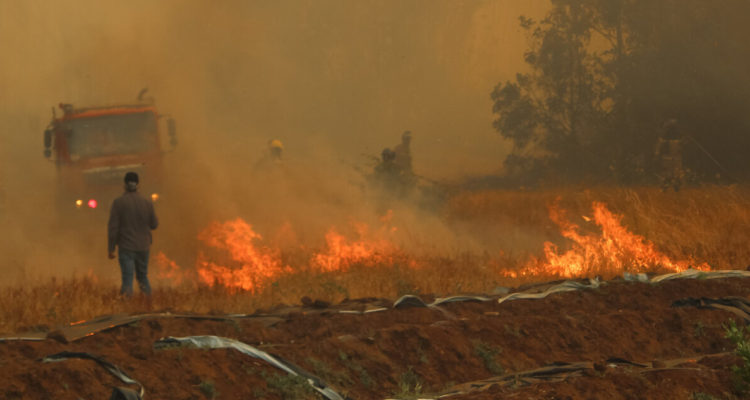 Declaran Alerta Roja para la comuna de Marchigüe por incendio forestal