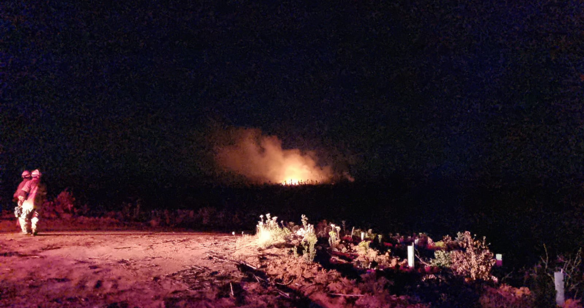 Alerta Roja incendio forestal en Lago Peñuelas.