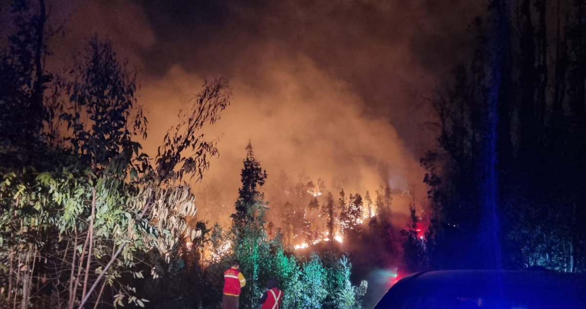 Alerta Roja en Valparaíso por incendio forestal en Lago Peñuelas.