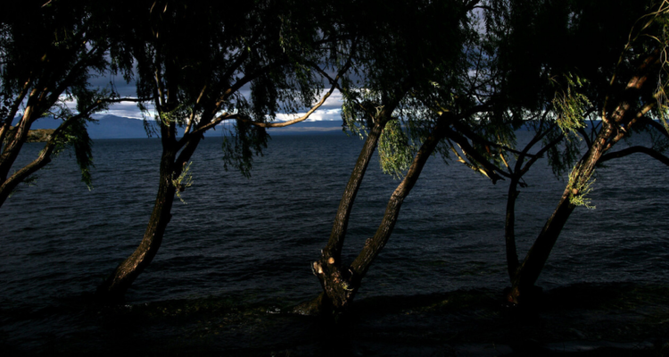 Auto cae en Lago General Carrera y mueren 3 personas