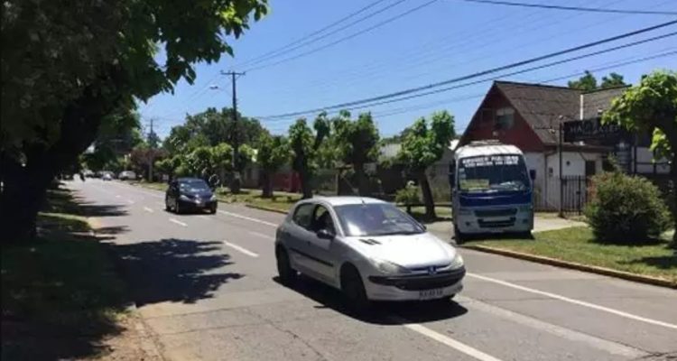 Solicitan firmas para evitar tala de árboles en renovación de Avenida Ercilla en Los Ángeles