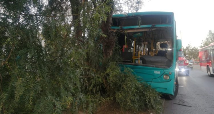Tres lesionados dejó choque de bus del Transantiago con un árbol en la capital