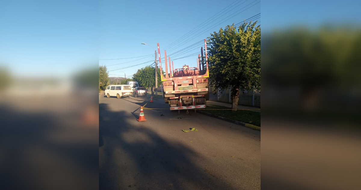 Camión detenido