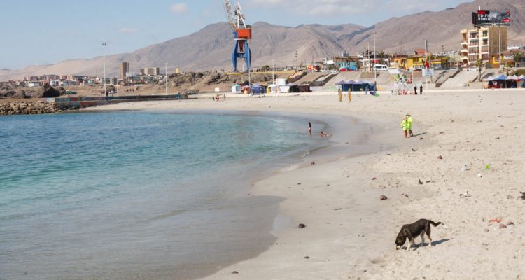 Cancelan estados de precaución en borde costero