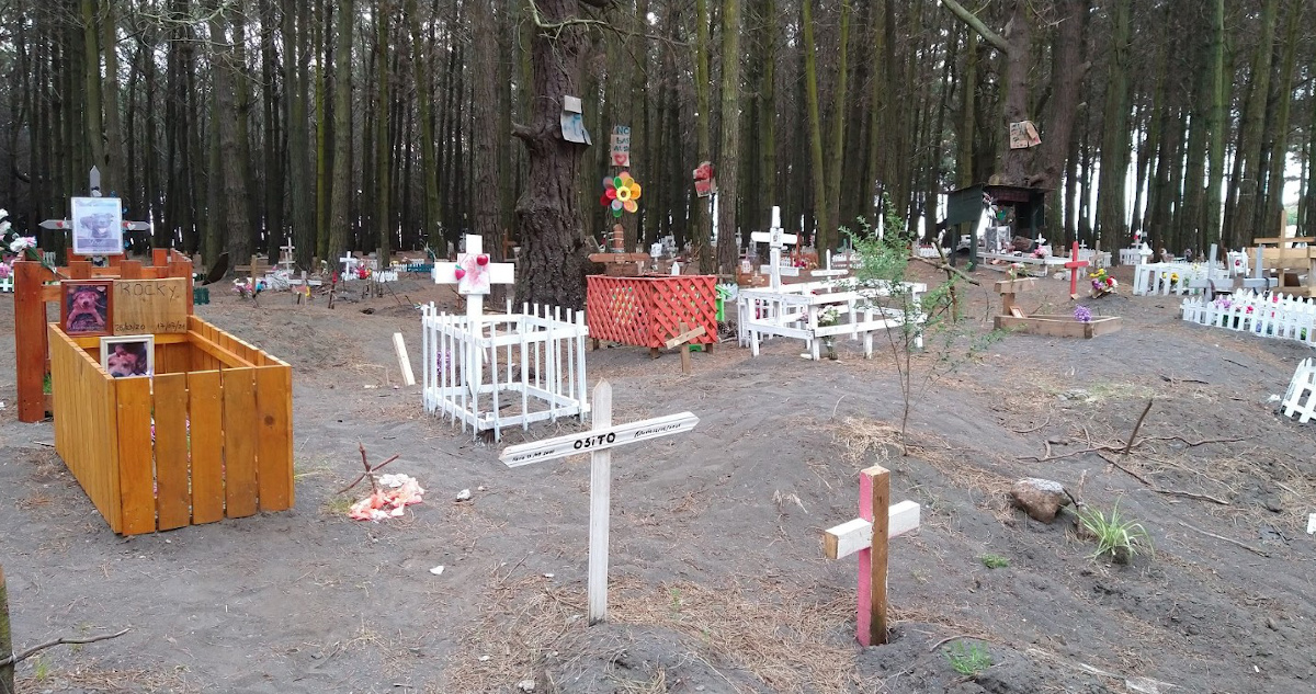 Cementerio de Mascotas de Lomas Coloradas en San Pedro de la Paz
