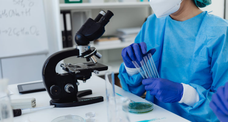 Proteína similar a bloques de Lego