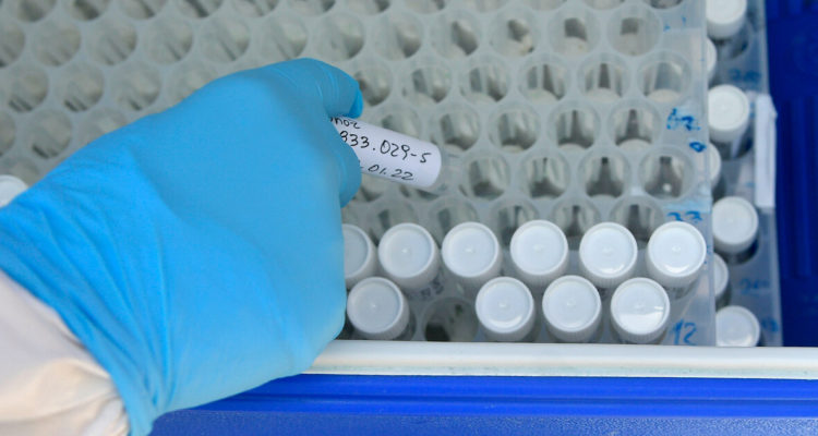 Foto contexto tests PCR