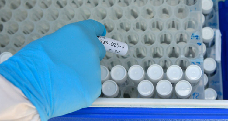 Confirman los primeros 11 casos de Ómicron en Magallanes: “El escenario es complejo”