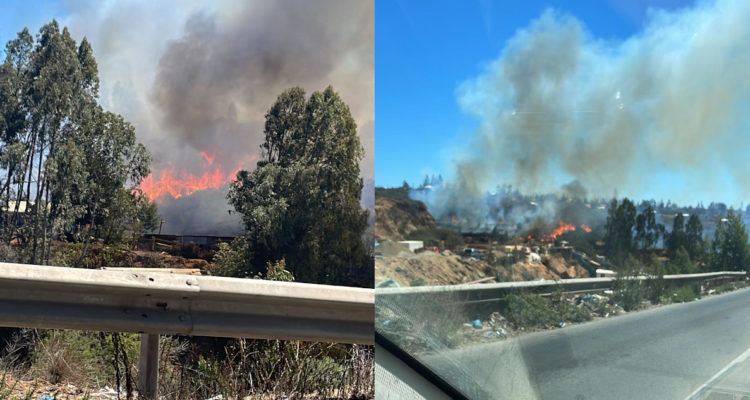Cedida a RBB Valparaíso