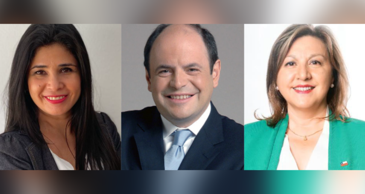 Convencionales proponen iniciativa para regiones extremas