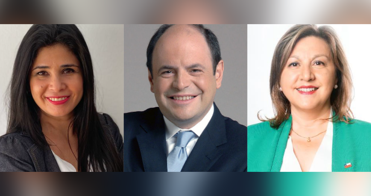 Convencionales proponen iniciativa para regiones extremas