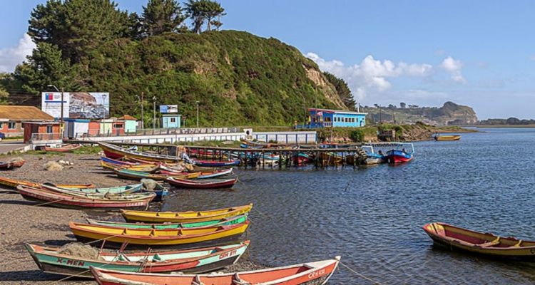 Contexto | Araucanía.cl