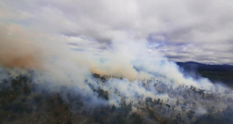 incendio forestal en timaukel en magallanes