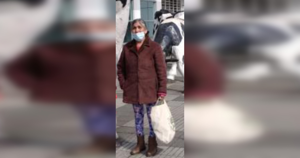 Mujer desaparecida en Osorno.