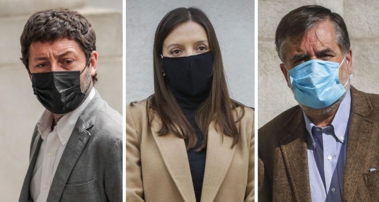 TC proyecto de amnistía