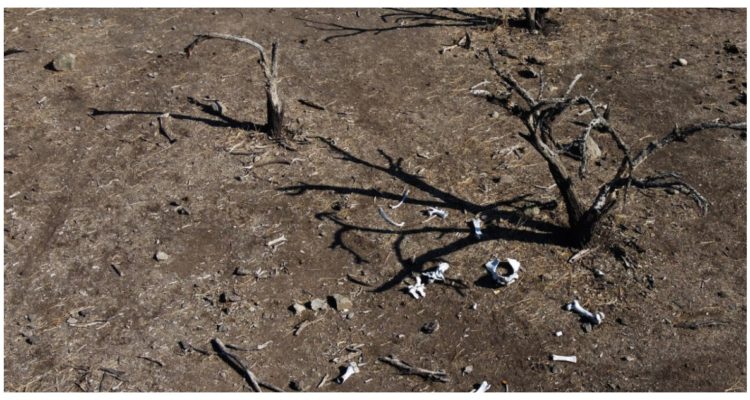 Escasez hidrica en la región de los ríos