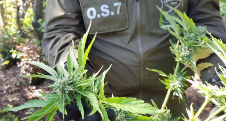 Formalizan a exseremi por trafico de drogas