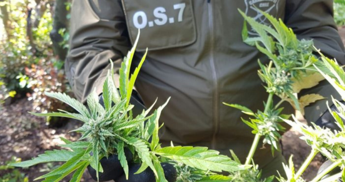 Formalizan a exseremi por trafico de drogas