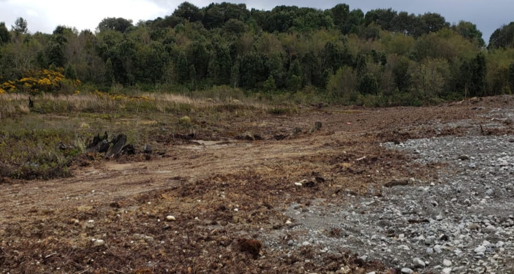 Gayi Humedal | Facebook