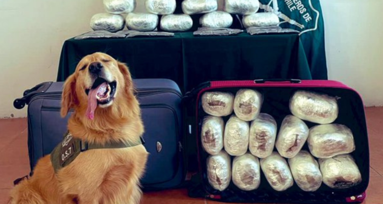 En prisión preventiva dos mujeres por tráfico de más de 30 kilos de droga